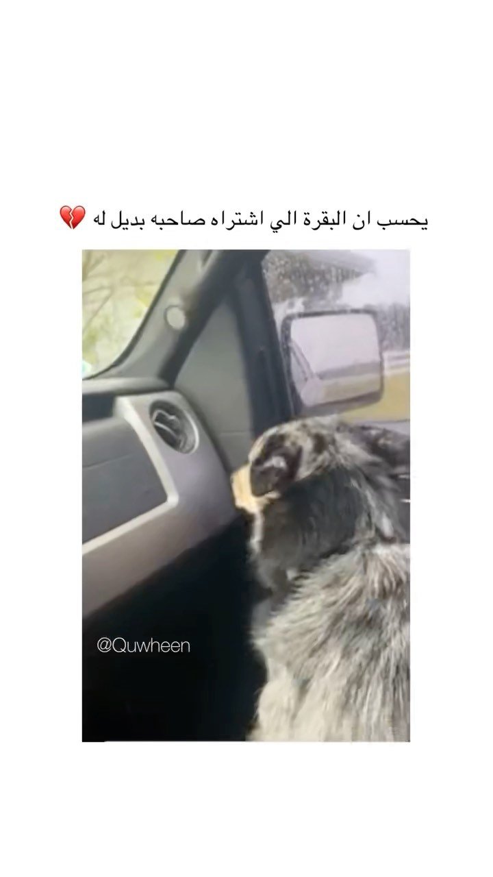 01 게시물 이미지: زعل زعل 🤣🤣🤣