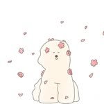 rooosyzh09 프로필 사진