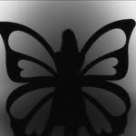 m_kayoung 프로필 사진