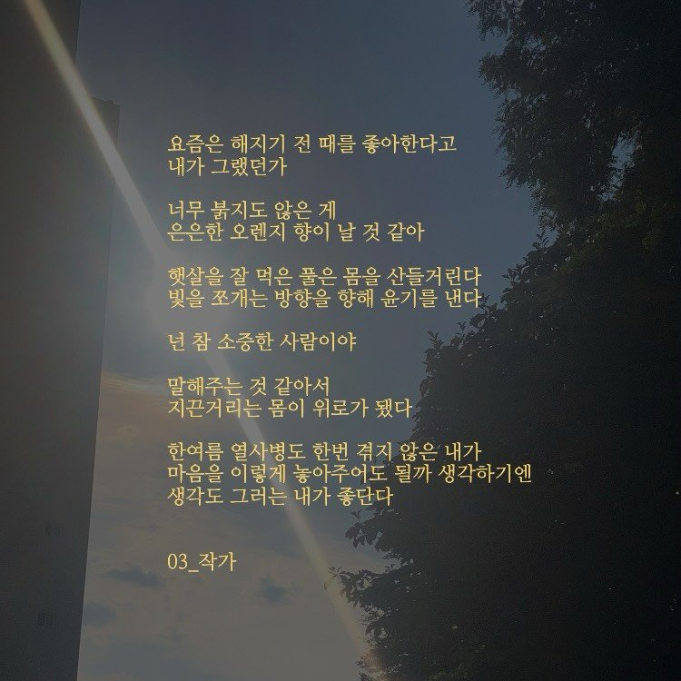 03_writer_sh 게시물 이미지: 넌 참 소중한 사람이야.
#글 #감성 #응원 #위로 #시