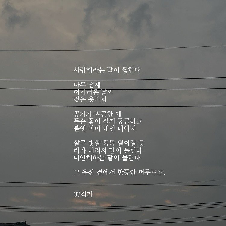 Photo by 03작가 on August 03, 2025. May be an image of cloud, telephone pole and text that says '사랑해라는 말이 씹힌다 나무 냄새 어지러운 날씨 젖은 젖은옷차림 옷차림 공기가 뜨끈한 게 무슨 꽃이 필지 궁금하고 볼엔 이미 데인 데이지 살구 빛깔 뚝뚝 떨어질듯 비가 내려서 말이 묻힌다 미안해하는 말이 물린다 그 우산 곁에서 한동안 머무르고. 03작가'.
