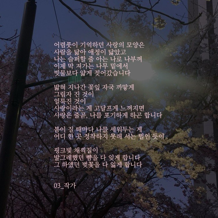 Photo by 03작가 on April 06, 2026. May be an image of telephone pole, outdoors and text that says '어렴풋이 기억하던 사랑의 모양은 사람을 닮아 애정이 닮았고 나는 슬퍼 할 줄 아는 나로 나부껴 이제 막 져가는 나무 밑에서 빗물보다 얇게 젖어갔습니다 밟혀 지나간 꽃잎 자국 까망게 그림자 진 것이 얼룩진 것이 사랑이라는게 게 고달프게 고달프게느껴지면 느껴지면 사랑은 줄곧, 나를 포기하게 하곤 합니다 봄이 질 때마다 나를 세워두는 게 어디 한 곳 정착하지 못해 서는 벌인 듯이 핑크빛 채찍질이 발그레했던 뺨을 다 잊게 합니다 하였던 벚꽃을 다 잃게 합니다 03_ 03_작가'.