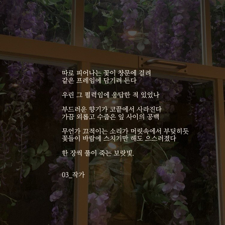 03_writer_sh 게시물 이미지: 한 장씩 풀이 죽는 보랏빛.
#글 #감성 #보랏빛 #꽃 #짐