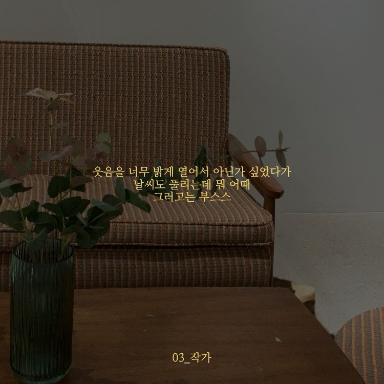 Photo by 03작가 on February 15, 2026. May be an image of sofa, baby's-breath and text that says '웃음을 너무 너무밝게 밝게 열어서 아닌가 싶었다가 날씨도 풀리는데 날씨도풀리는데뭐어 뭐 어때 그러고는 그러고는부스스 부스스 03_작가 03_ 작가'.