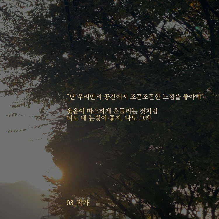 Photo by 03작가 on November 06, 2025. May be an image of outdoors and text that says '"난 우 우리만의 공간에서 조곤조곤한 조곤조곤한느낌을좋아해' 곤한 느낌을 좋아해" 웃음이 따스하게 흔들리는 것처럼 럼 너도 내 눈빛이 좋지, 나도 나도그래 그래 03_작가 03_ 작가'.
