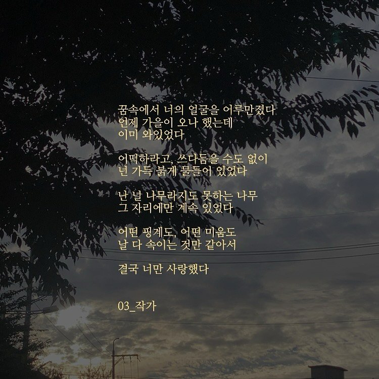 Photo by 03작가 on September 07, 2025. May be an image of cloud, twilight, telephone pole and text that says '꿈속에서 너의 얼굴을 어루만졌다. 언제 가을이 오나 했는데 이미 와있었다 어떡하라고, 쓰다듬을 수도 없이 넌 가득 붉게 물들어 있었다 '난널 난 널 나무라지도 못하는 나무 그 그자리에만 계속 있었다 어떤 핑게도, 어떤 미움도 날 날다 다 속이는 것만 같아서 결국 너만 사랑했다 03_작가 작가'.