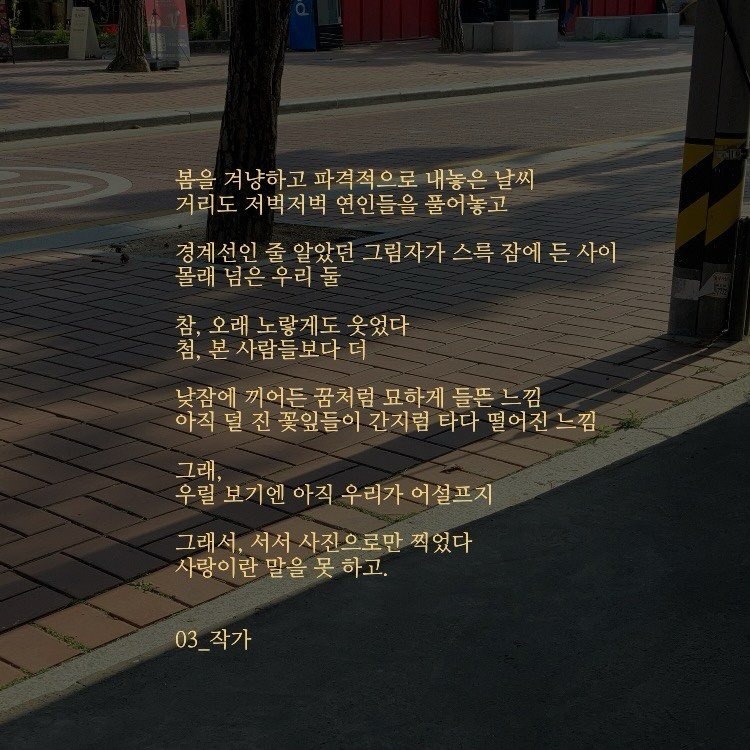 Photo by 03작가 on April 20, 2026. May be an image of street and text that says '봄을 겨냥하고파격적으로 겨냥하고 파격적으로 내놓은 날씨 거리도 저벅저벅 연인들을 풀어놓고 경계선인 줄 알았던 그림자가 스륵 잠에 든 사이 몰래 념은 우리둘 참, 오래 노렇게도 웃었다 첨,본 본 사람들보다 더 첨, 낮잠에 끼어든 꿈처럼 묘하게 들뜨 아직 덜 진 꽃잎들이 간지럼 타다 떨어진 느낌 그래, 보 보기엔 아직 우리가 어설프지 그래서, 서서 사진으로만 찍었다 사랑이란 말을 吴 하고. 03_작가'.