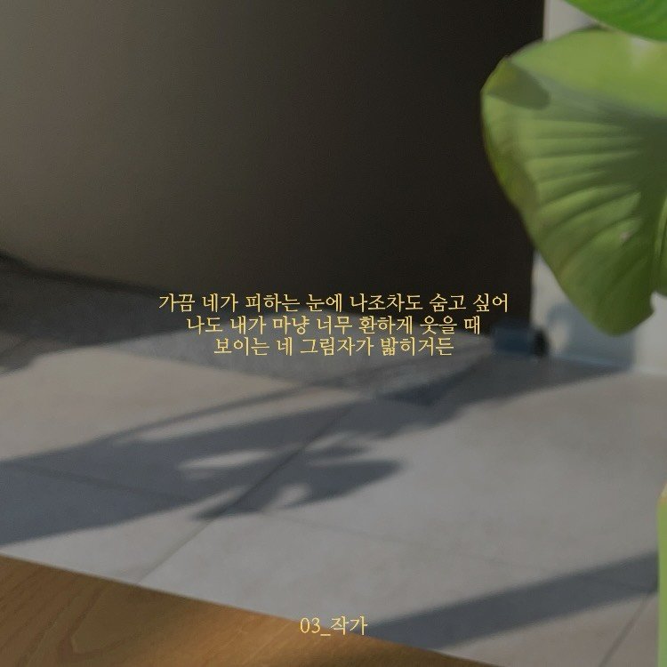 Photo by 03작가 on January 26, 2026. May be an image of cornflower, baby's-breath and text that says '가끔 네가 피하는 눈에 나조차도 숨고 싶어 나도 내가 마냥 너무 환하게 웃을 때 보이는 네 그림자가 밟히거든 03_작가'.