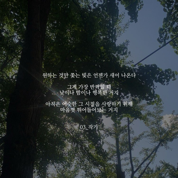 03_writer_sh 게시물 이미지: 난 그 맑음을 지키고 싶다.
#글 #나무 #나뭇잎 #글귀 #감성