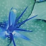 hxxrlin 프로필 사진