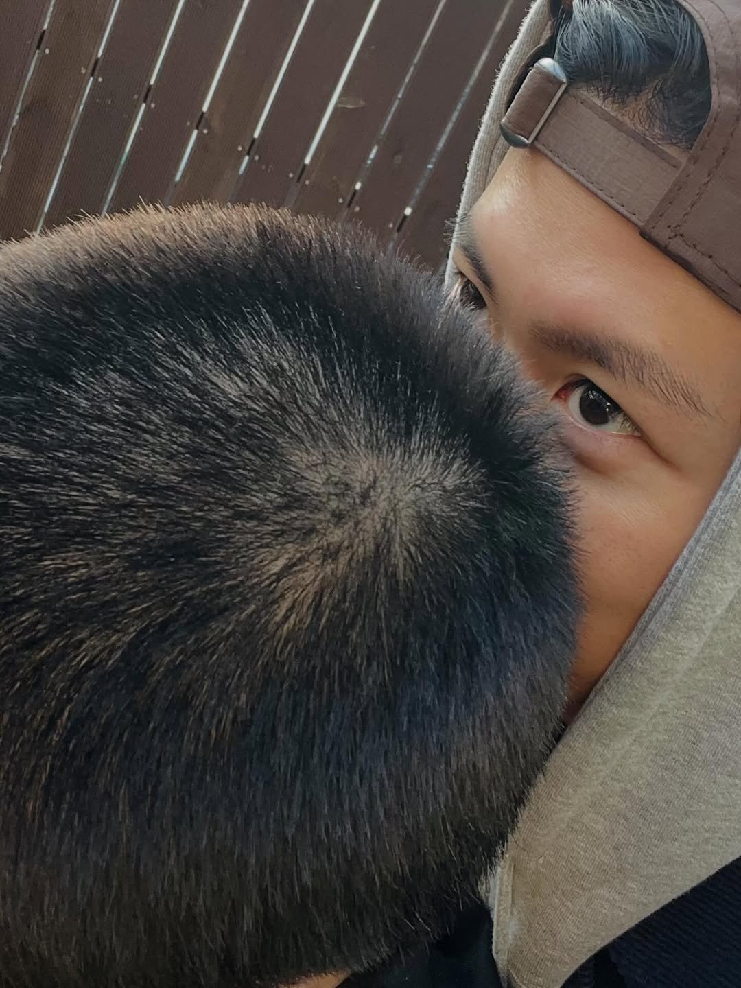 Photo by 공명 on December 08, 2025.