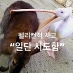 thepoorclub_official 프로필 사진