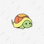 sea_turtle._.soup 프로필 사진
