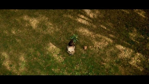 Photo by 이로아 on April 11, 2026. May be an image of mallard, grass and text.