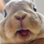 ha.jung___ 프로필 사진