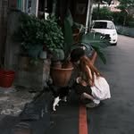 jenaissante 프로필 사진