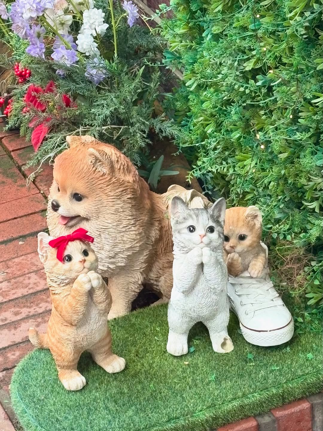 Photo by 이로아 on July 18, 2025. May be an image of Norwich terrier, flower pot and text.