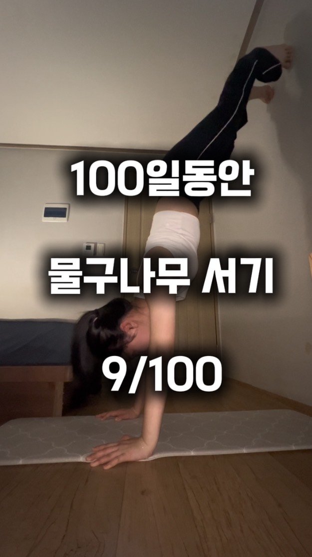 0xx_ul 게시물 이미지: 9일차 물구나무-느는듯 안느는 듯 잘 모르겠다..근데 확실히 벽에 배대고 하는게 잘...