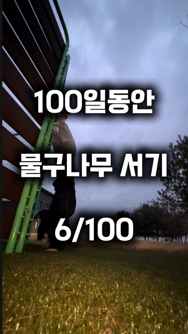 0xx_ul 게시물 이미지: 벌써 거꾸로 6일차 남은시간은 94일

#handstand #기록 #day6