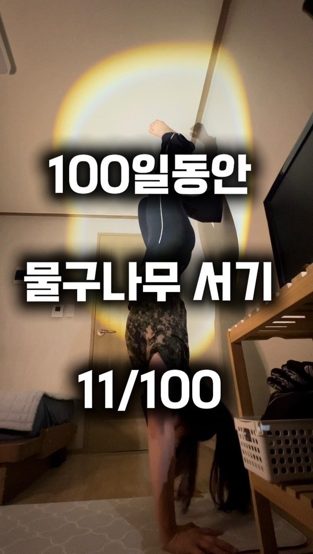 0xx_ul 게시물 이미지: 물구나무 11/100일 차 기록. 오늘은 뻔더 코어 운동 루틴 병행.

물구나무...