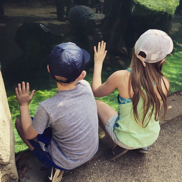 10042 게시물 이미지: Siblings who love penguins.
