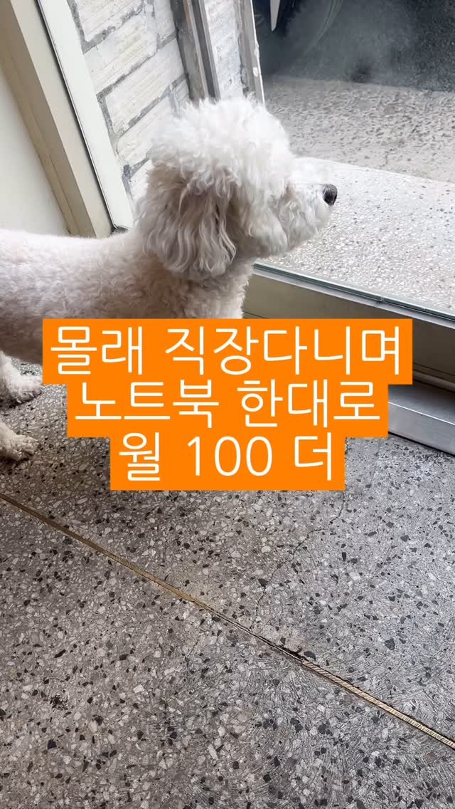 100_bbg 게시물 이미지: 솔직히 말해서,
회사 월급만으론 너무 빠듯하시죠?
회사다니면서 퇴근 후 할 수 있는...