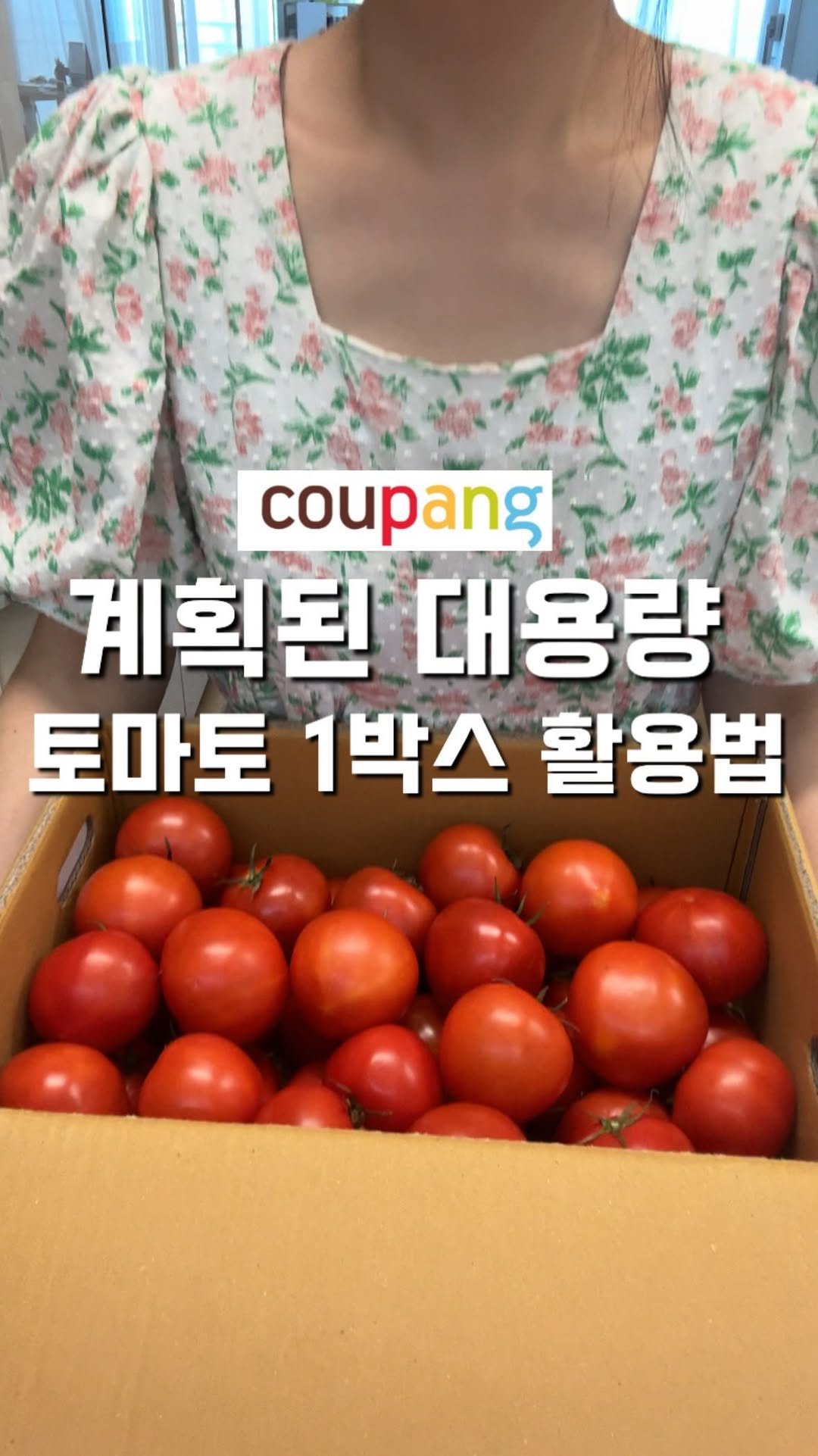 100ban_88 게시물 이미지: 여름 천연 면역력제 토마토 레시피 모음🔻
90% 이상이 수분인 토마토는
땀 많이...