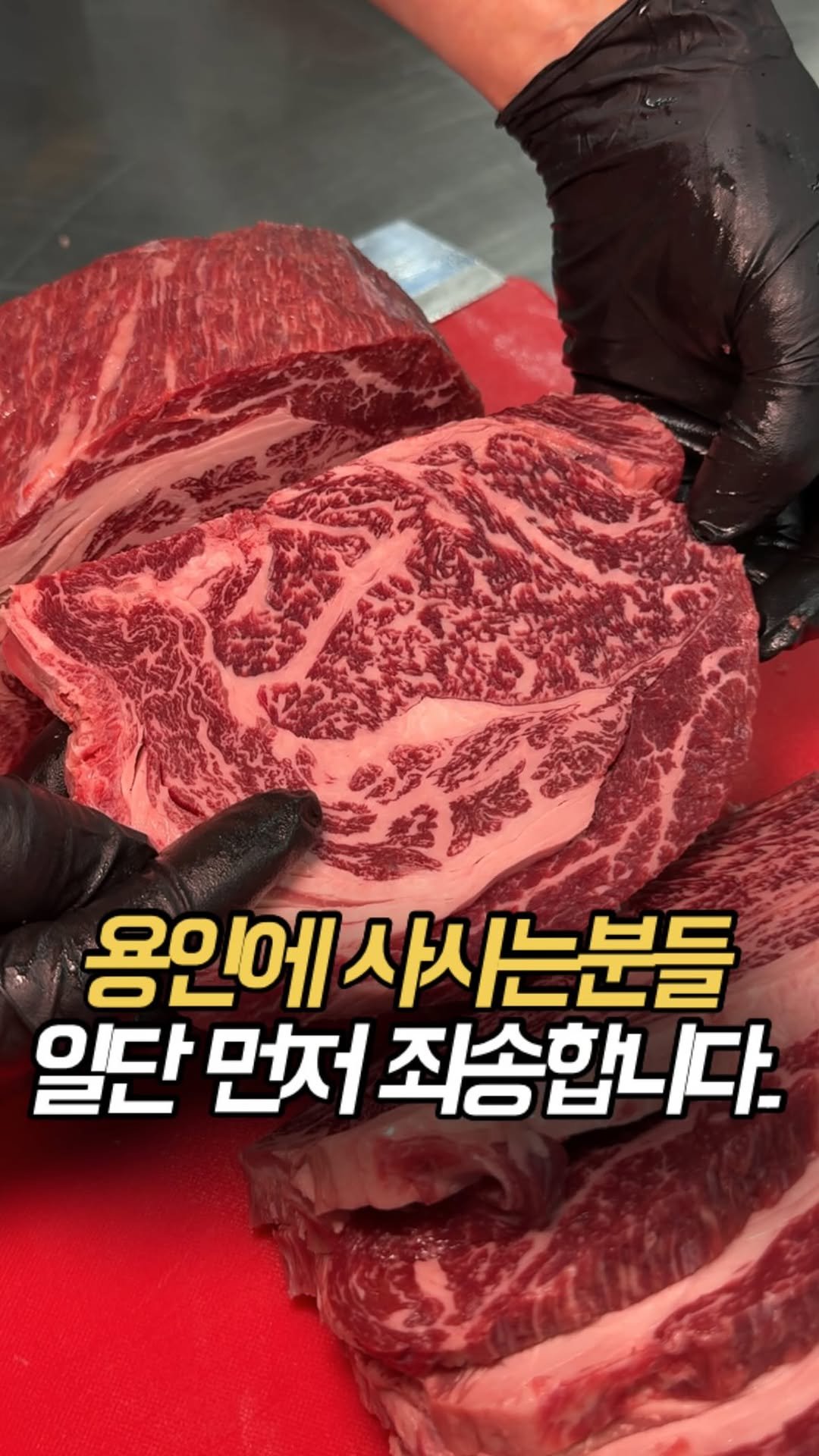 100rang_food 게시물 이미지: 용인 사시는 분들 진심 부럽습니다
삼겹살 가격에 이런 소고기...