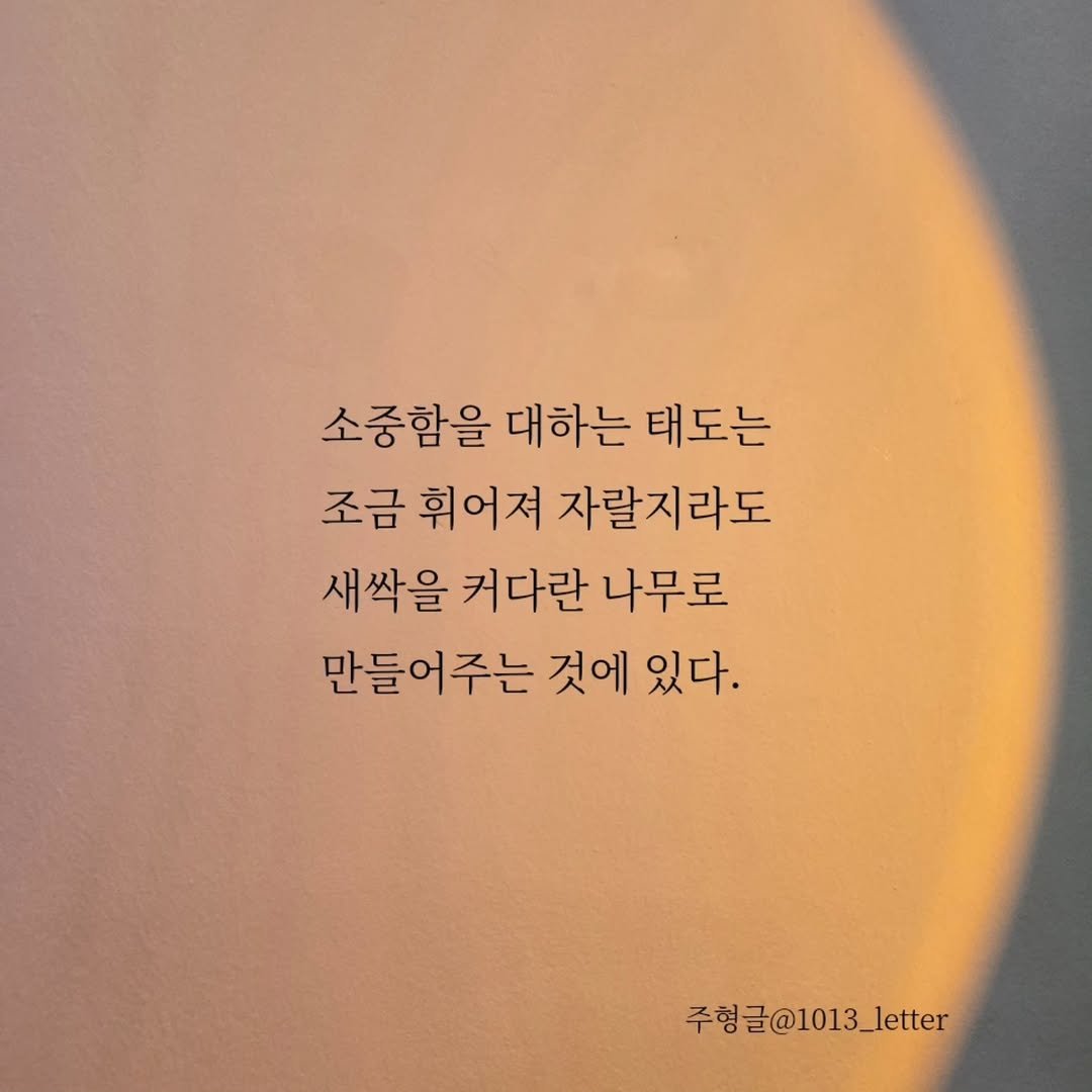 Photo by 글 / 필자 임주형 on November 26, 2025. May be an image of text that says '소중함을 대하는 태도는 조금 휘어져 자랄지라도 새싹을 커다란 나무로 만들어주는 것에 있다. 주형글@1013_letter 주형들'.