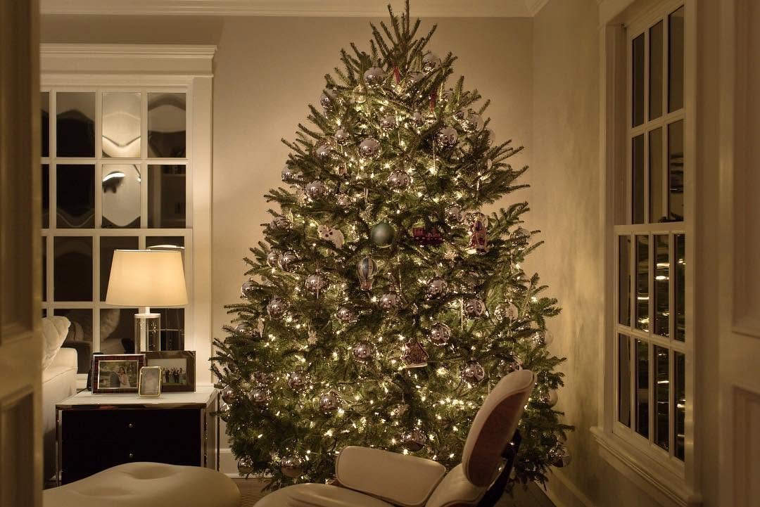 104 게시물 이미지: For once, we went out and got our tree when we...