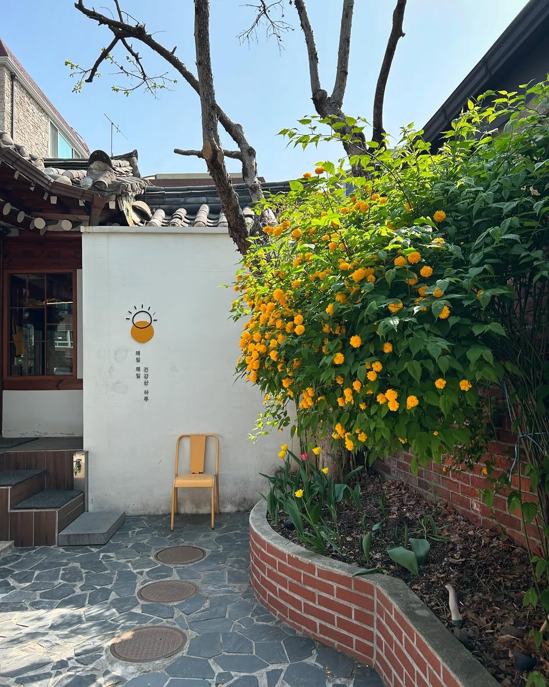 Photo by 일일호일 on April 14, 2026. May be an image of devilwood, brick wall and text.