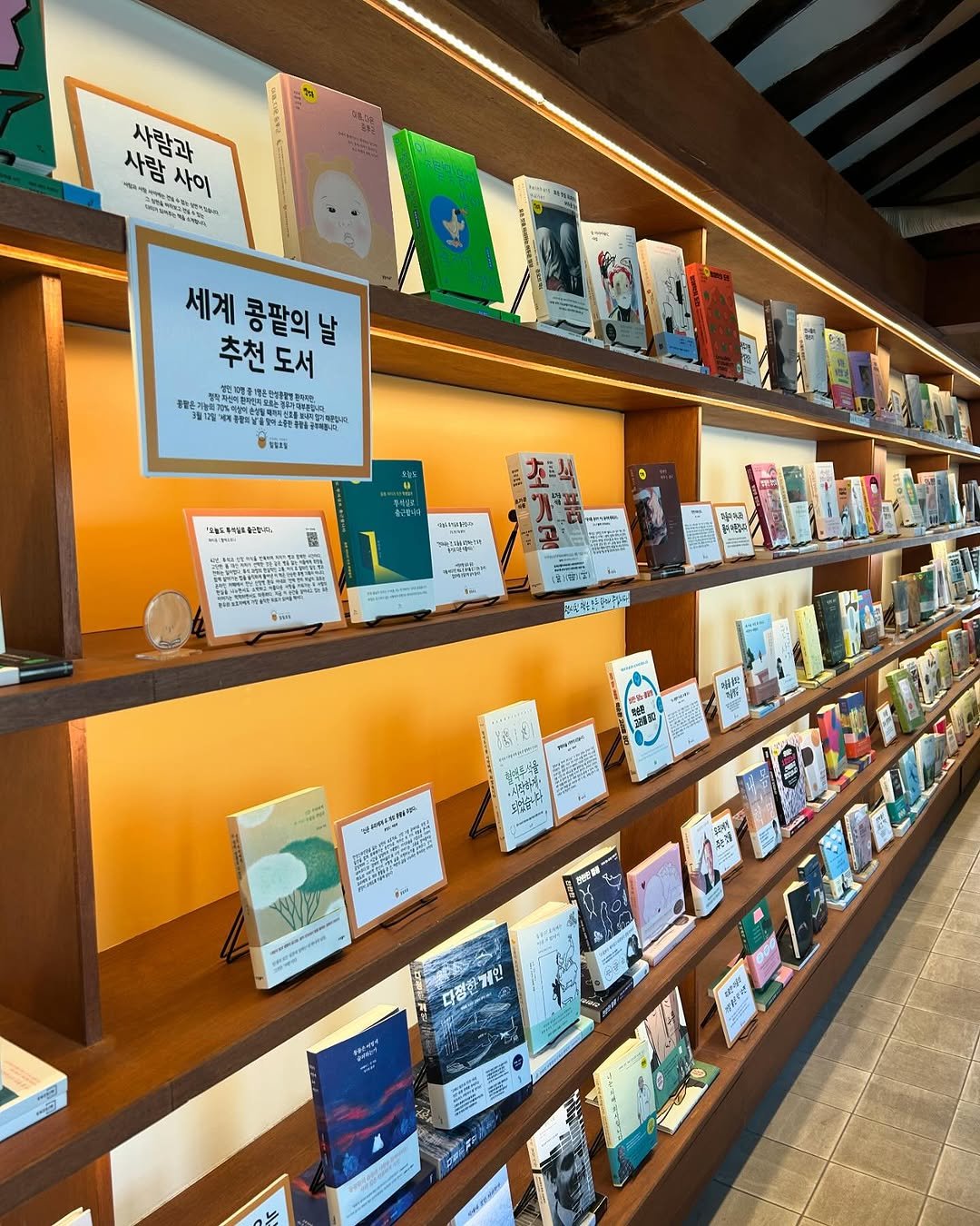 Photo by 일일호일 on March 10, 2026. May be an image of book, shelf and text.