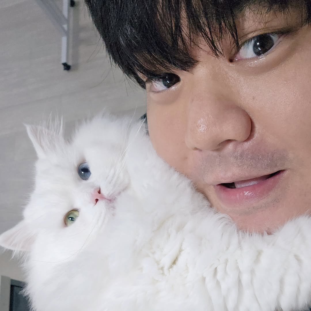 Photo by 160kg 김현우 on August 20, 2025. May be a selfie of 1 person, ragdoll cat, Persian cat, kitten and text.