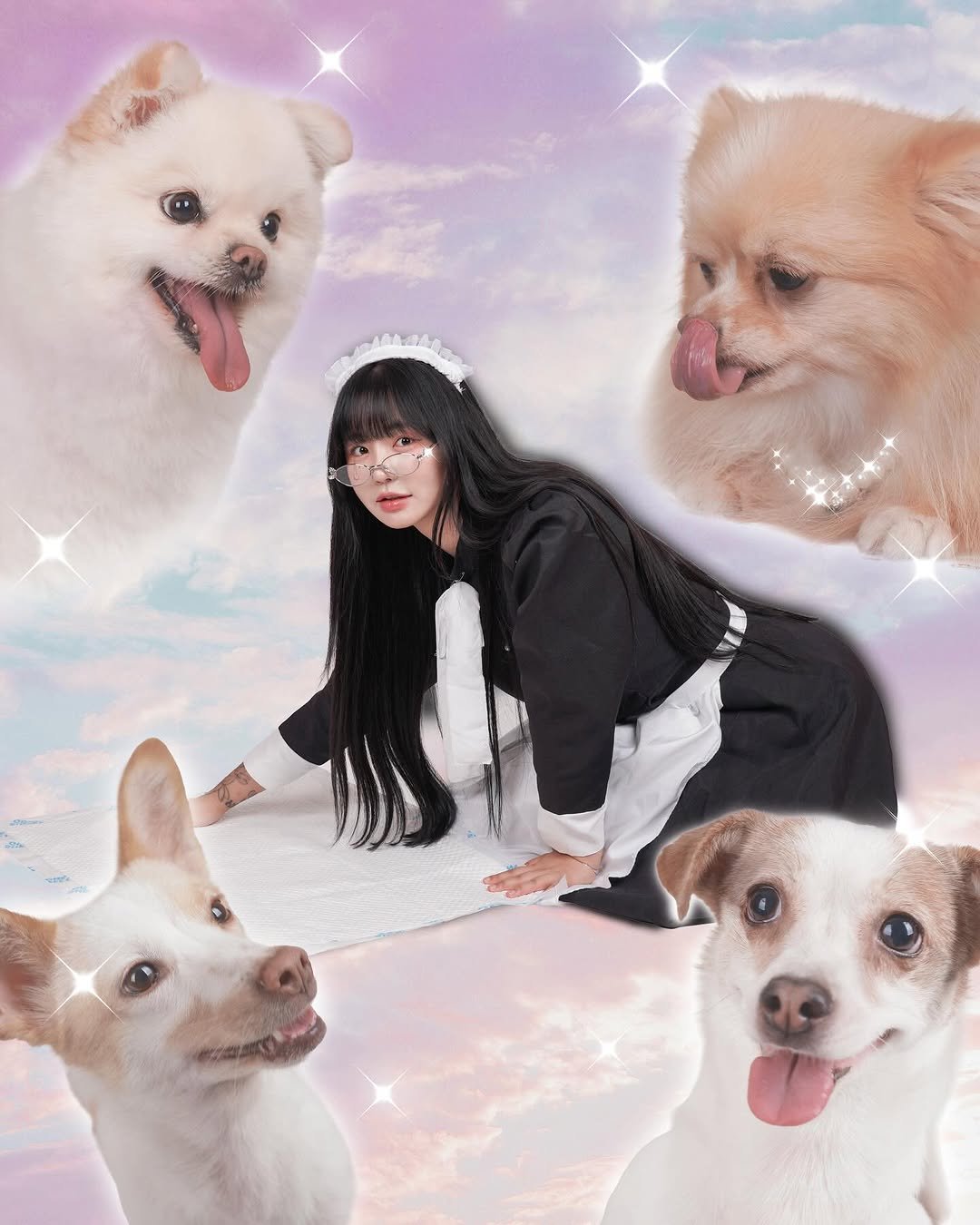 Photo shared by 전보연 on June 07, 2025 tagging @gentlemonster, and @dontmove.please. May be an image of Pekinese.