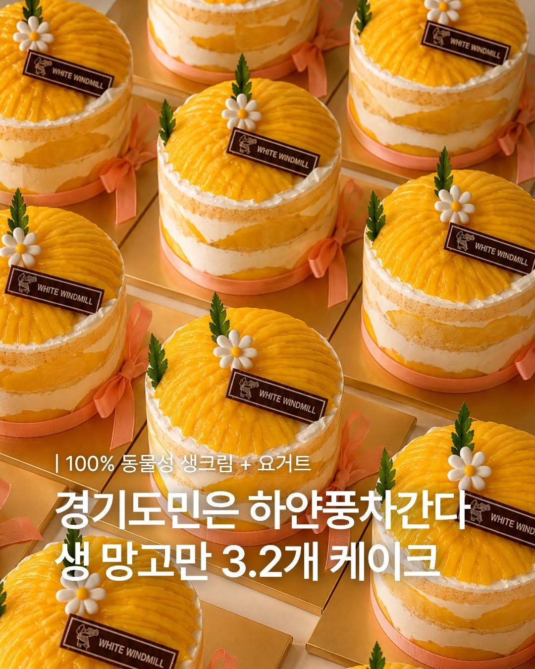 1993.windmill 게시물 이미지: 드디어 수원/동탄에도 생망고 폭탄 케이크 먹을 수 있다 ✨

케이크로 많은 사랑을...