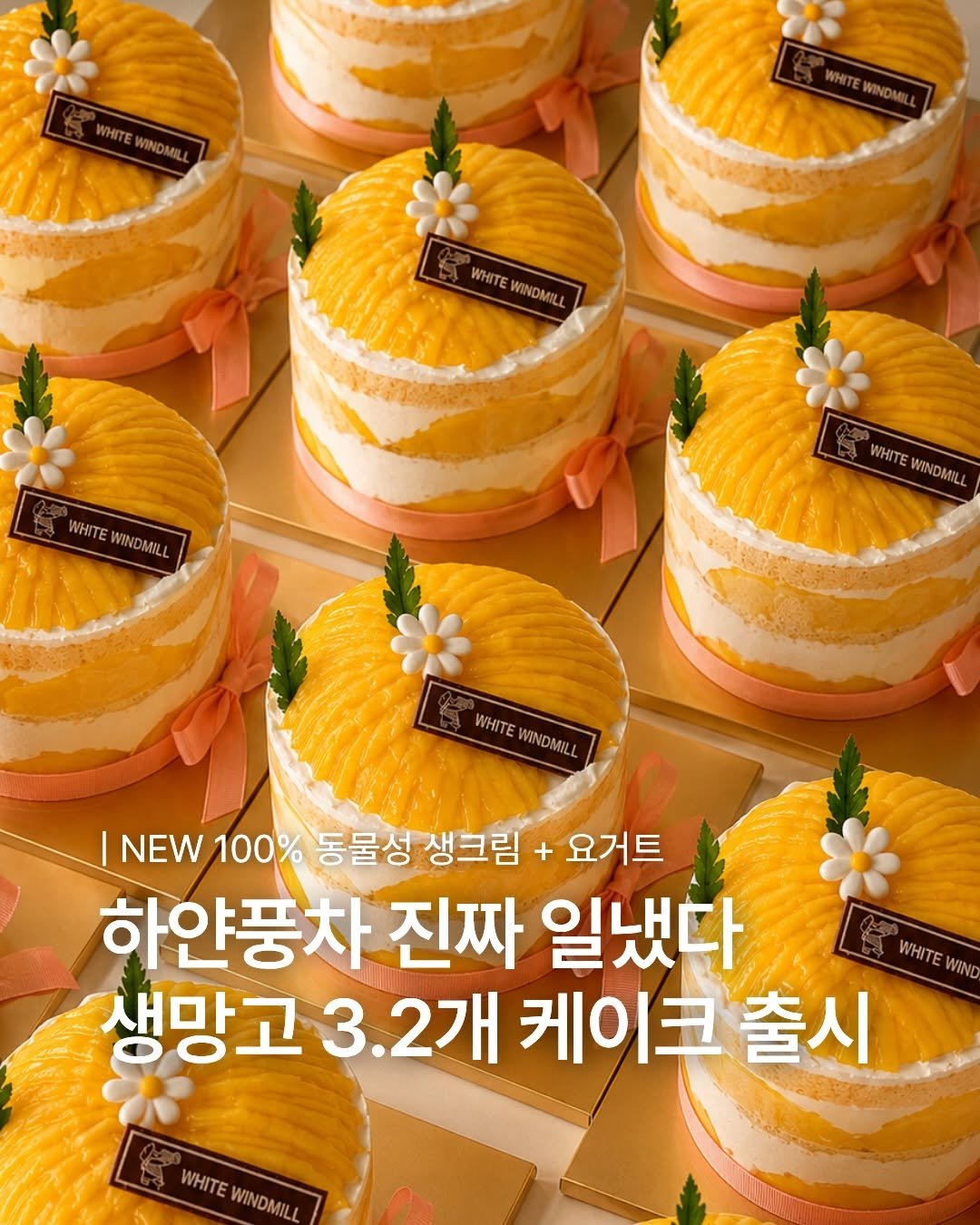 1993.windmill 게시물 이미지: 수원/동탄 시민분들 부러워요..생망고만 3.2개 케이크 출시 ✨

케이크로 많은...