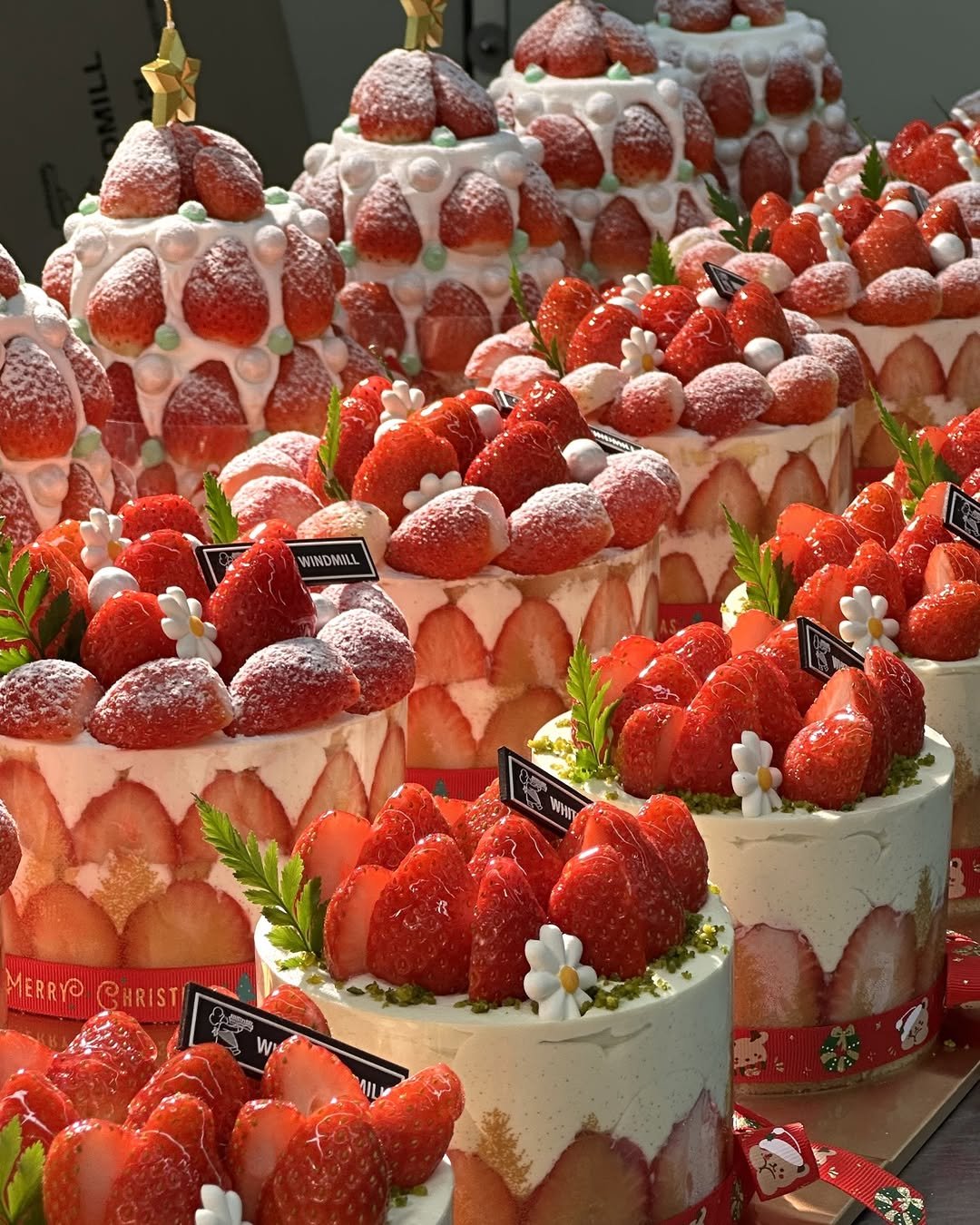 Photo by 하얀풍차제과점 | 천연발효종 베이커리 | 딸기케이크 크리스마스케이크 케이크맛집 화이트롤 on December 16, 2025. May be an image of cake, strawberry, cheesecake, fruitcake, tart and text that says 'WINDNILL MERRYPCHRIST MERRYA CHRIST'.