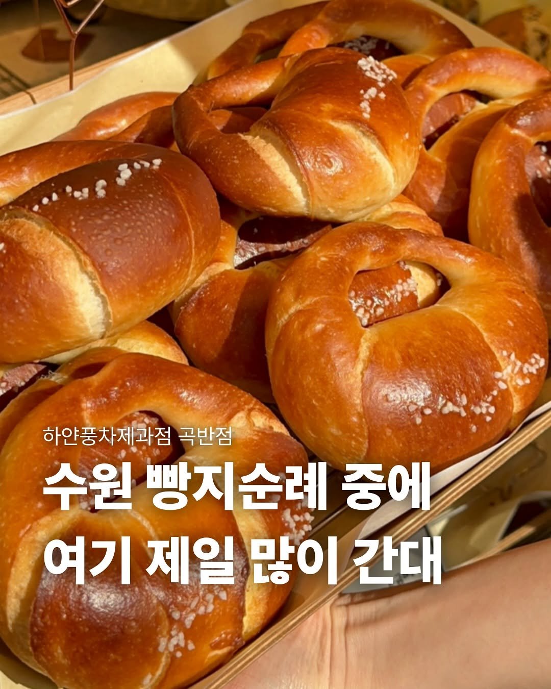 Photo by 하얀풍차제과점 | 천연발효종 베이커리 | 동탄케이크 수원카페 케이크맛집 화이트롤 on September 15, 2025. May be an image of turnover, baguette, croissant, bagel and text that says '하얀풍차제과점 곡반점 수원 빵지순례 중에 여기 제일 많이 간대'.