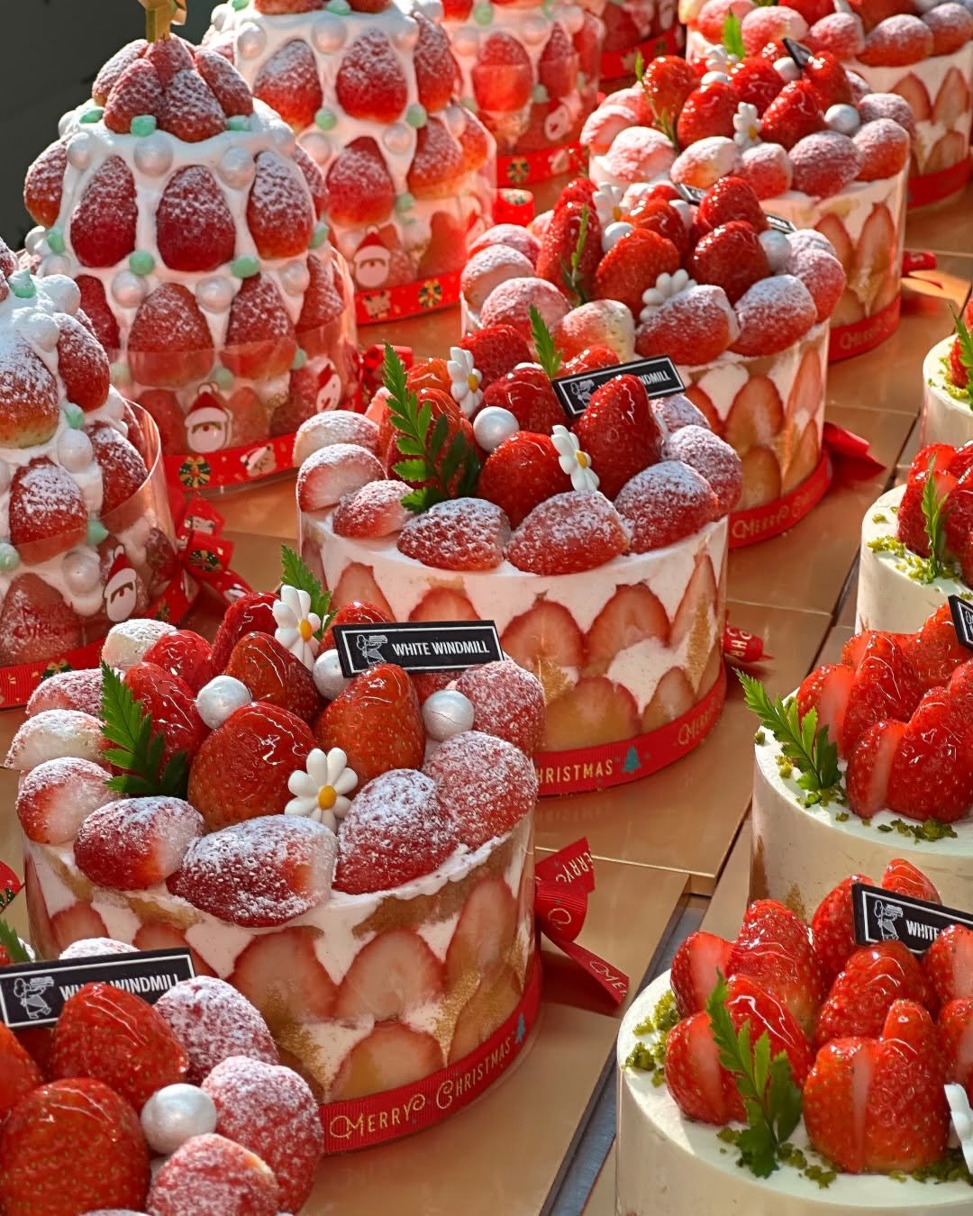 Photo by 하얀풍차제과점 | 천연발효종 베이커리 | 딸기케이크 크리스마스케이크 케이크맛집 화이트롤 on December 01, 2025. May be an image of strawberry, cake, cheesecake and fruitcake.