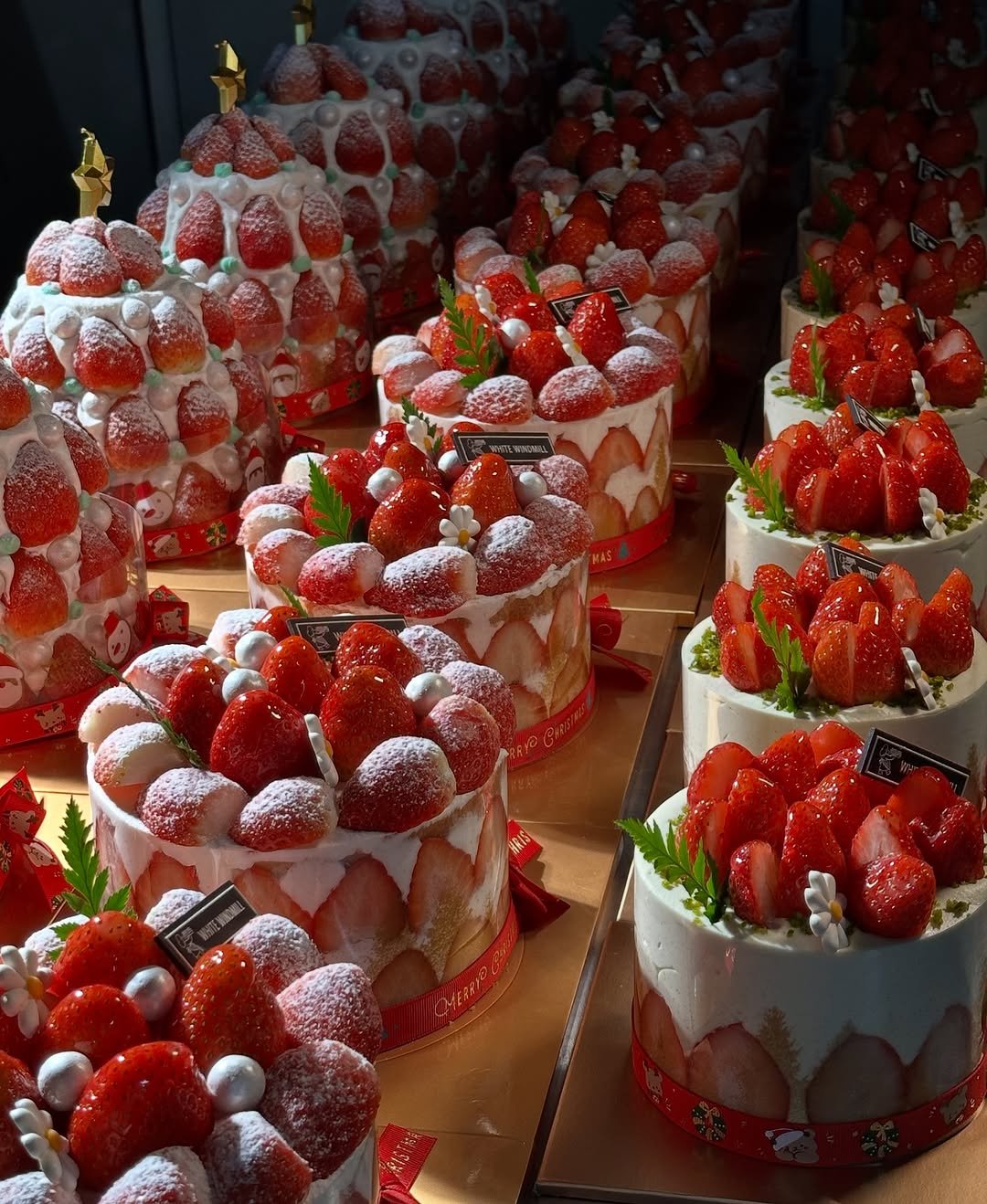 Photo by 하얀풍차제과점 | 천연발효종 베이커리 | 딸기케이크 크리스마스케이크 케이크맛집 화이트롤 on December 21, 2025. May be an image of cake, strawberry, fruitcake and text.