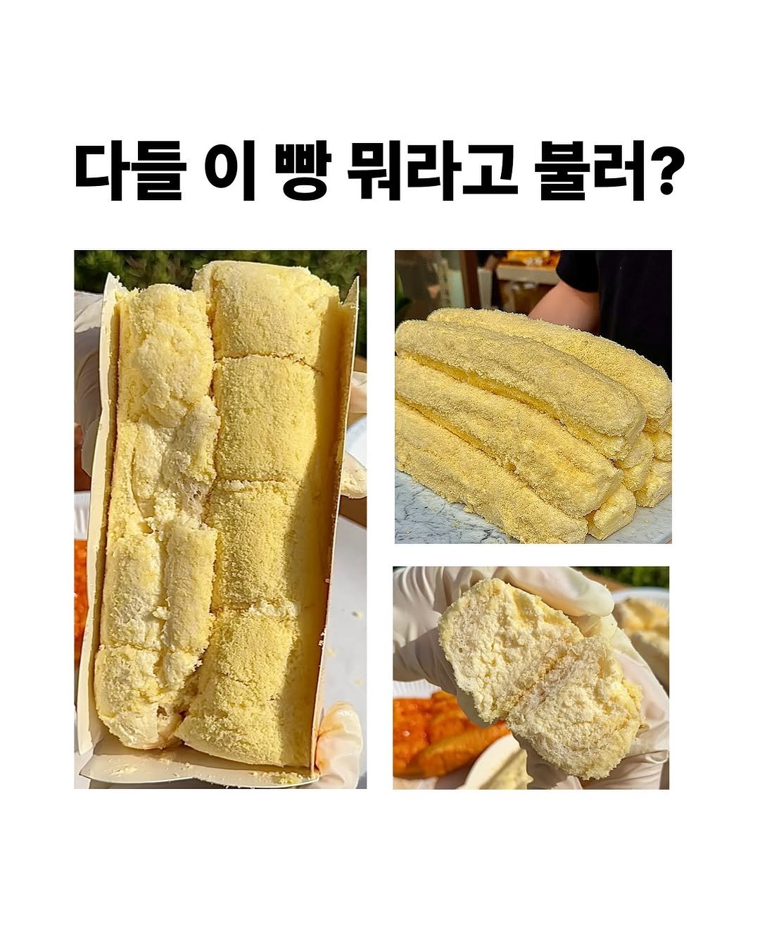 Photo by 하얀풍차제과점 | 천연발효종 베이커리 | 동탄케이크 수원카페 케이크맛집 화이트롤 on August 19, 2025. May be an image of 1 person and text that says '다들 이빵 이 빵 뭐라고 불러?'.