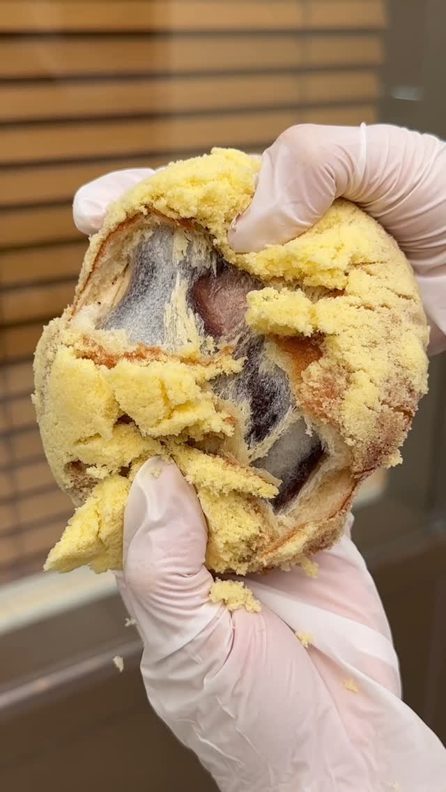 1993.windmill 게시물 이미지: 하얀풍차는 추석 연휴내내 연중무휴입니다🙇‍♀️

찰떡도넛에는 찰떡, 초코크림, 팥이 들어가있어요 🤎