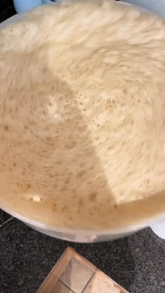 1993.windmill 게시물 이미지: 내가 즐겨먹던 빵이 가짜 빵이었다..

안녕하세요!
천연발효빵을 만드는 베이커리
하얀...