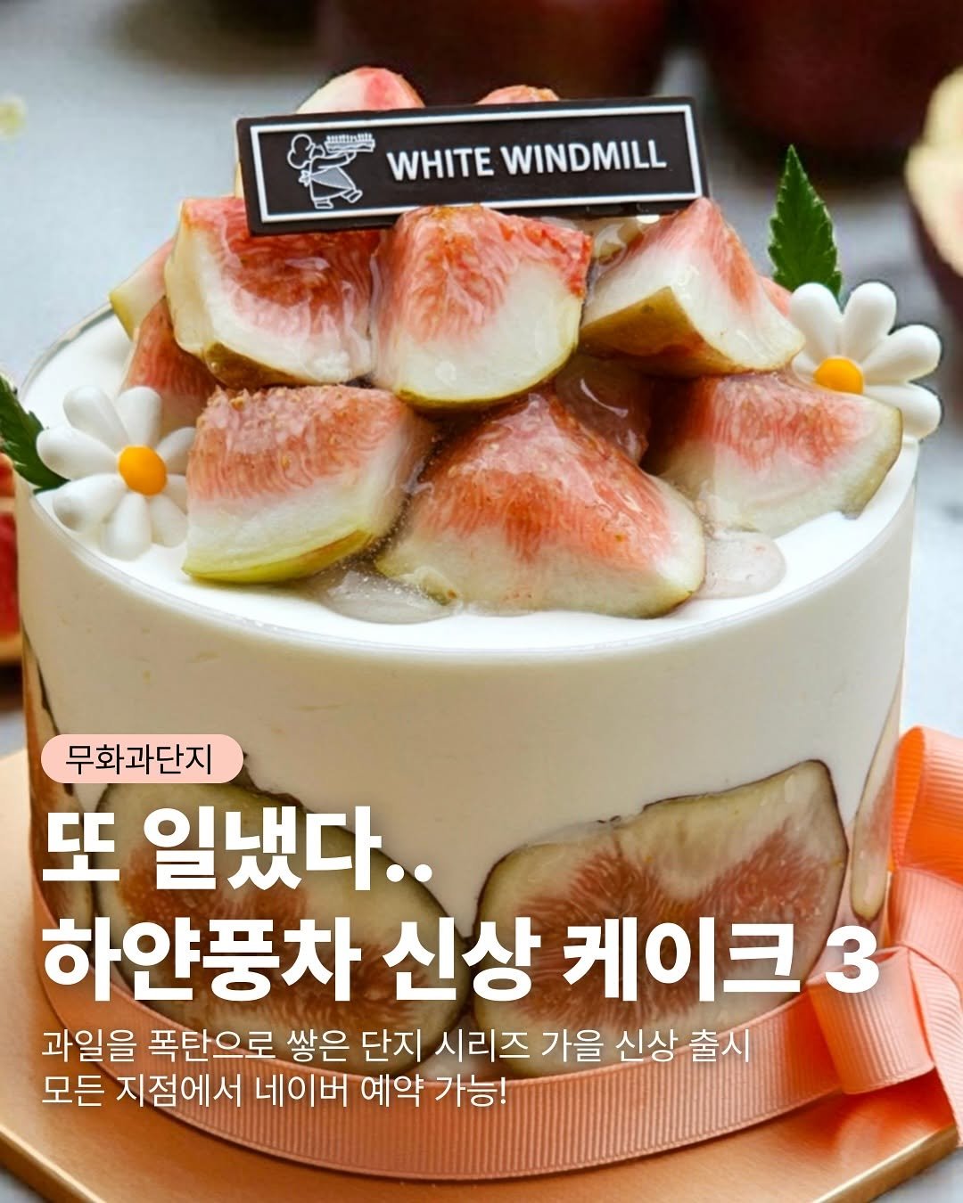 Photo by 하얀풍차제과점 | 천연발효종 베이커리 | 동탄케이크 수원카페 케이크맛집 화이트롤 on August 20, 2025. May be an image of cake, fig, pie, fruitcake and text that says '黑重馬 WHITE WINDMILL 무화과단지 또 일냈다.. 하얀풍차 신상 케이크 3 과일을 폭탄으로 쌓은 단지 시리즈 가을 신상 신상출시 출시 모든 지점에서 네이버 예약 가능!'.