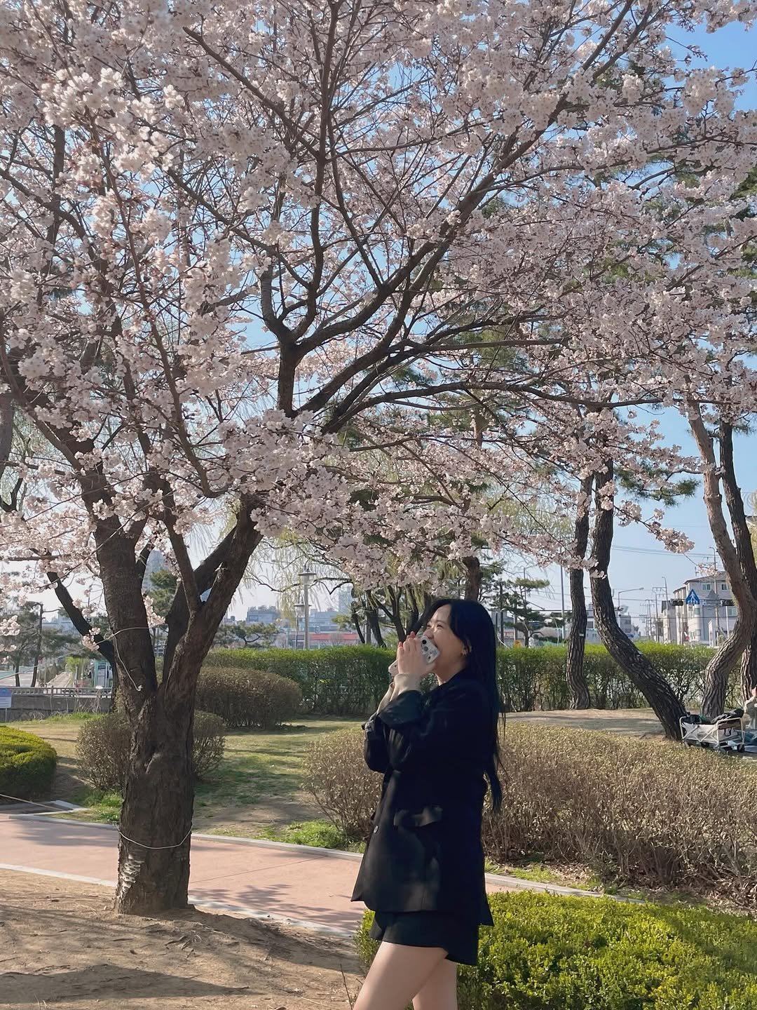 1_ddul 게시물 이미지: 정말 오랜만에 오프날 집에서 노트북 안뚜들기고 밖에 나가서 벚꽃보고왔어요 🌸
다들...