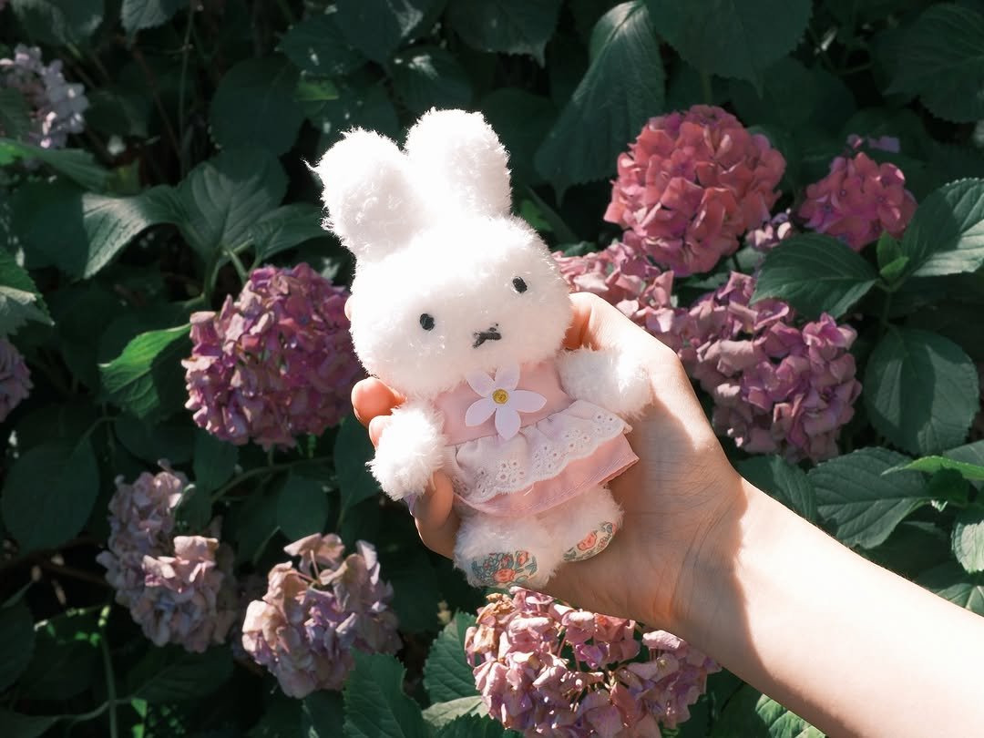 Photo by 🤍🐰🤍 on October 30, 2025. May be an image of lace, toy and text.