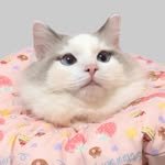jc_011224 프로필 사진