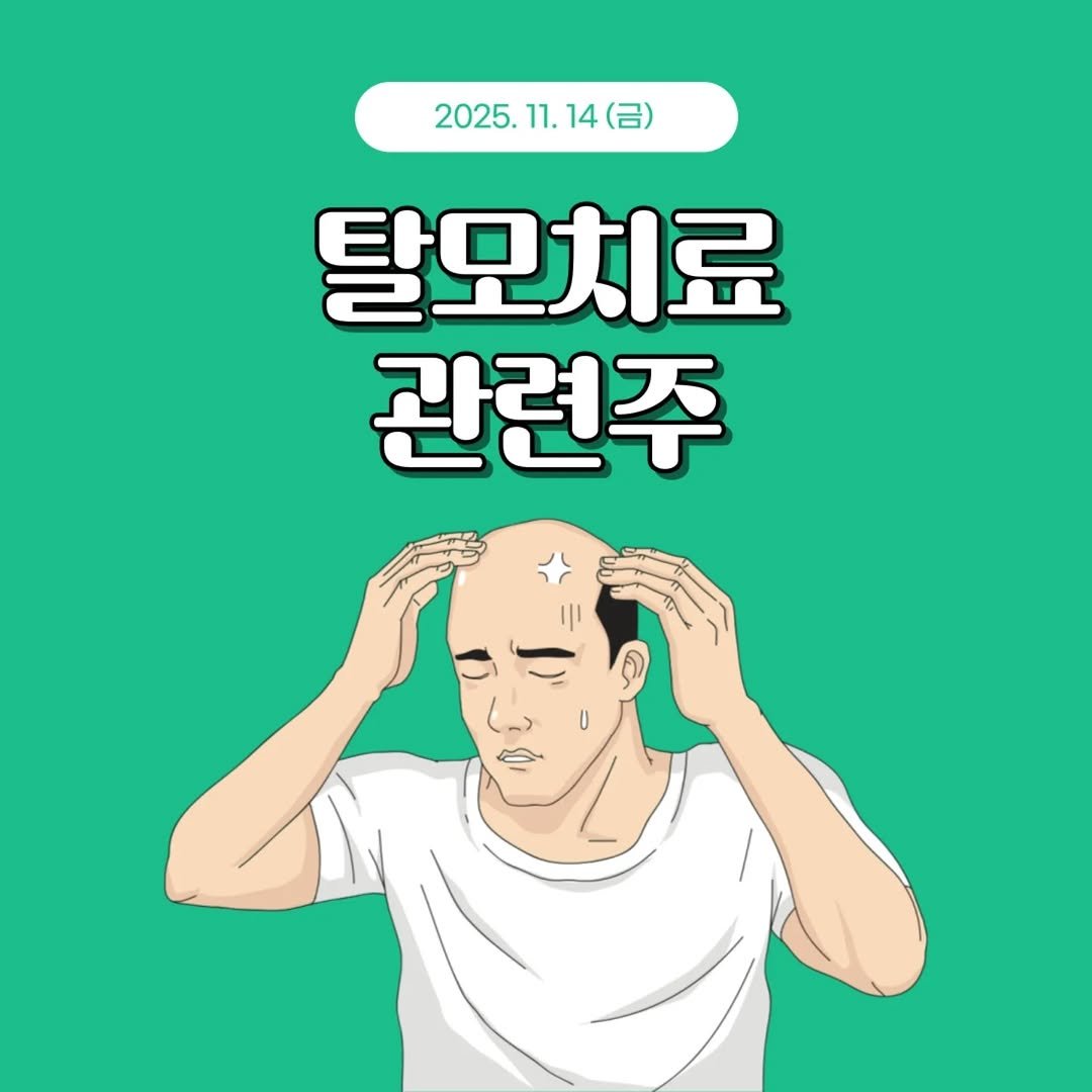 Photo by 1분 경제 on November 13, 2025. May be an illustration of one or more people, hair, poster and text that says '2025.11. 2025.11.14（日） 14 14 2025. 11. 탈모치료 관련주'.