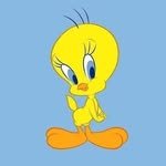 lucksunnyc 프로필 사진