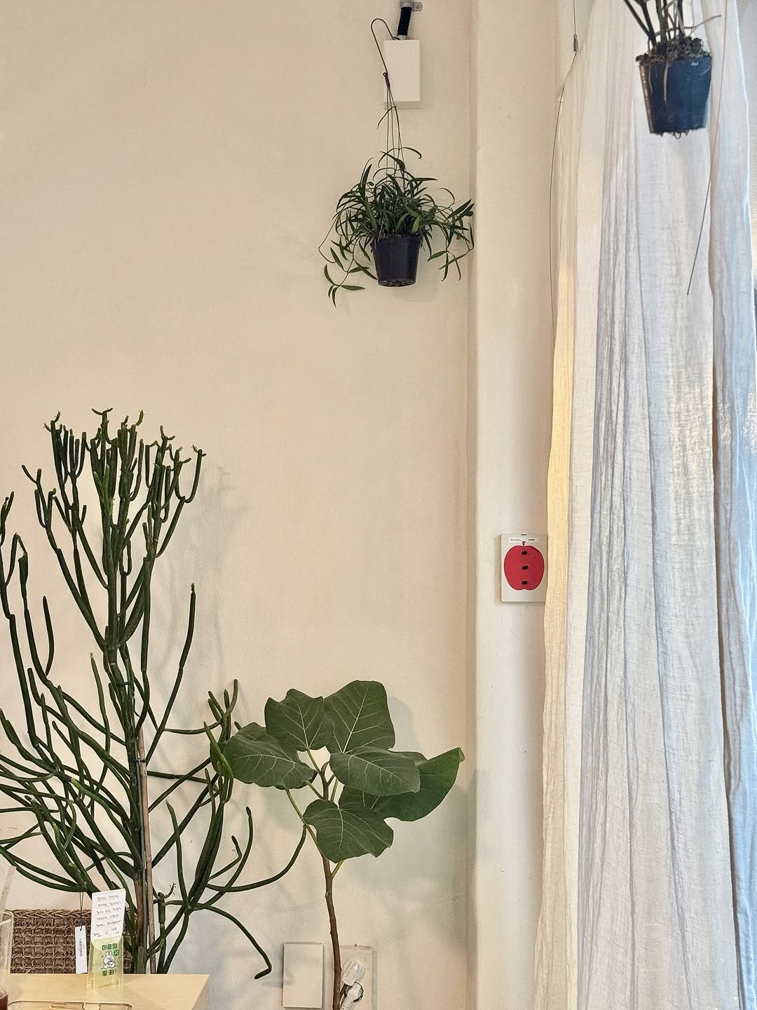 Photo by 오늘 일상, 여행 on December 06, 2025.